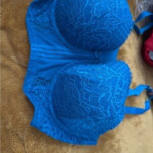 Cacique Vibrant Blue Lace Bra